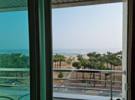 Pine Beach Yangyang Eksteriør billede