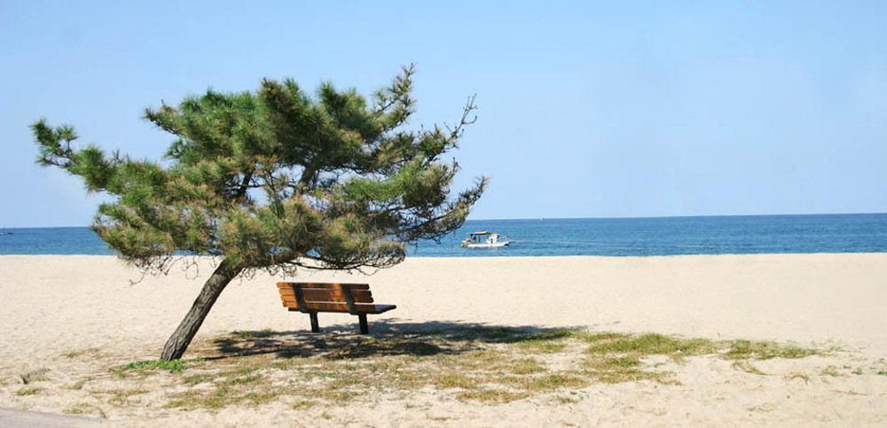 Pine Beach Yangyang Eksteriør billede