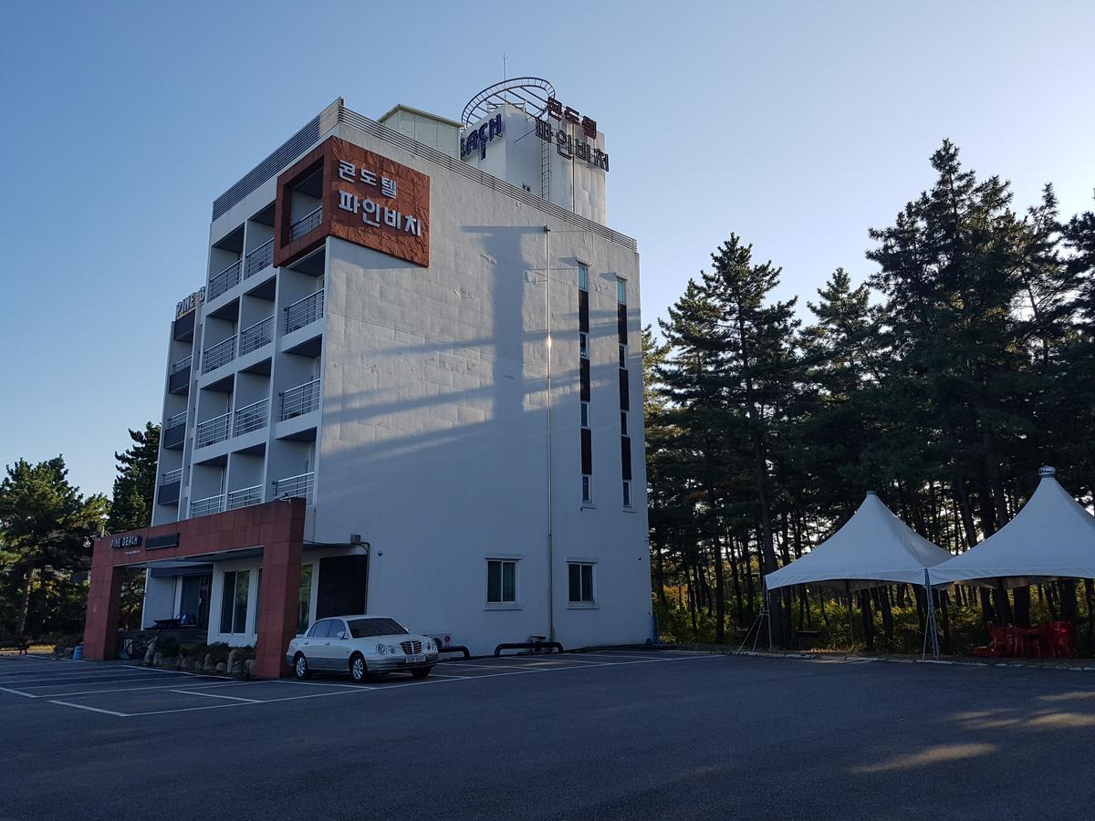 Pine Beach Yangyang Eksteriør billede