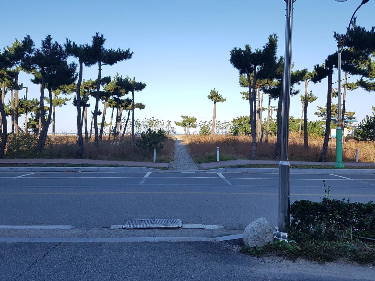 Pine Beach Yangyang Eksteriør billede