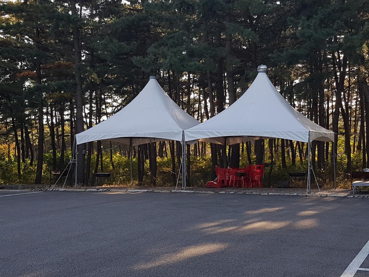 Pine Beach Yangyang Eksteriør billede